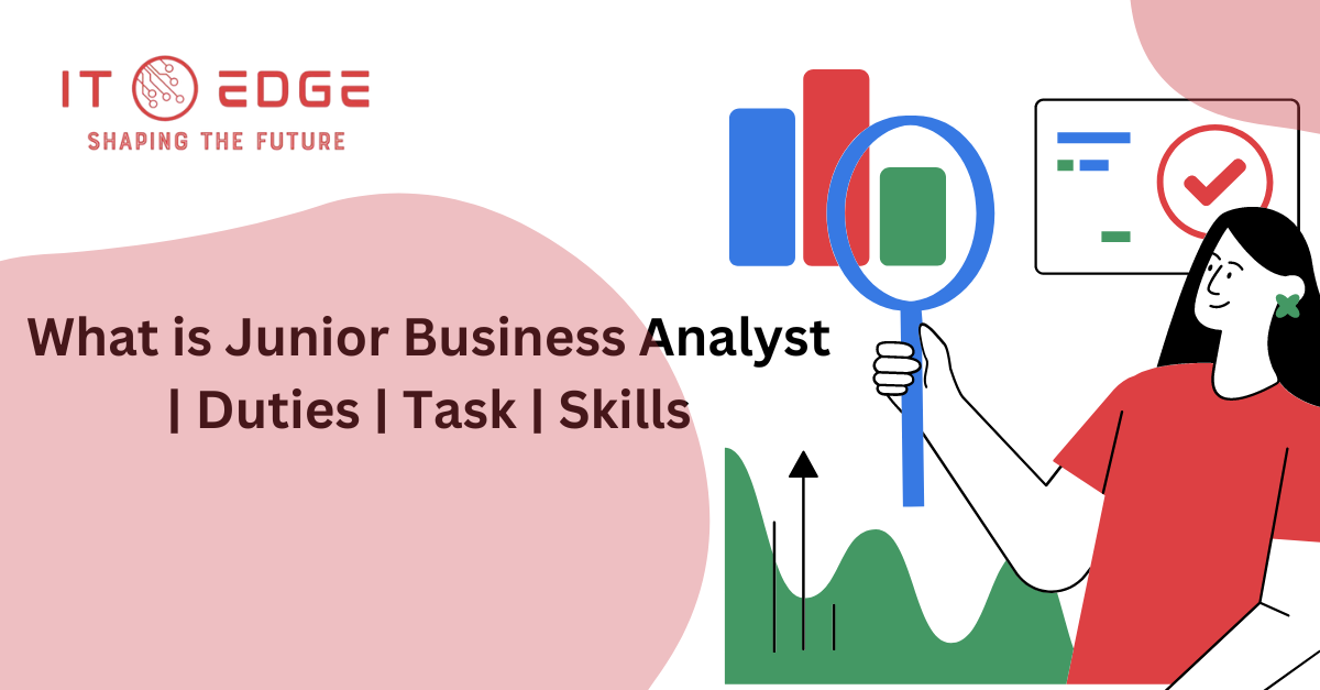 What is Junior Business Analyst Duties Task Skills